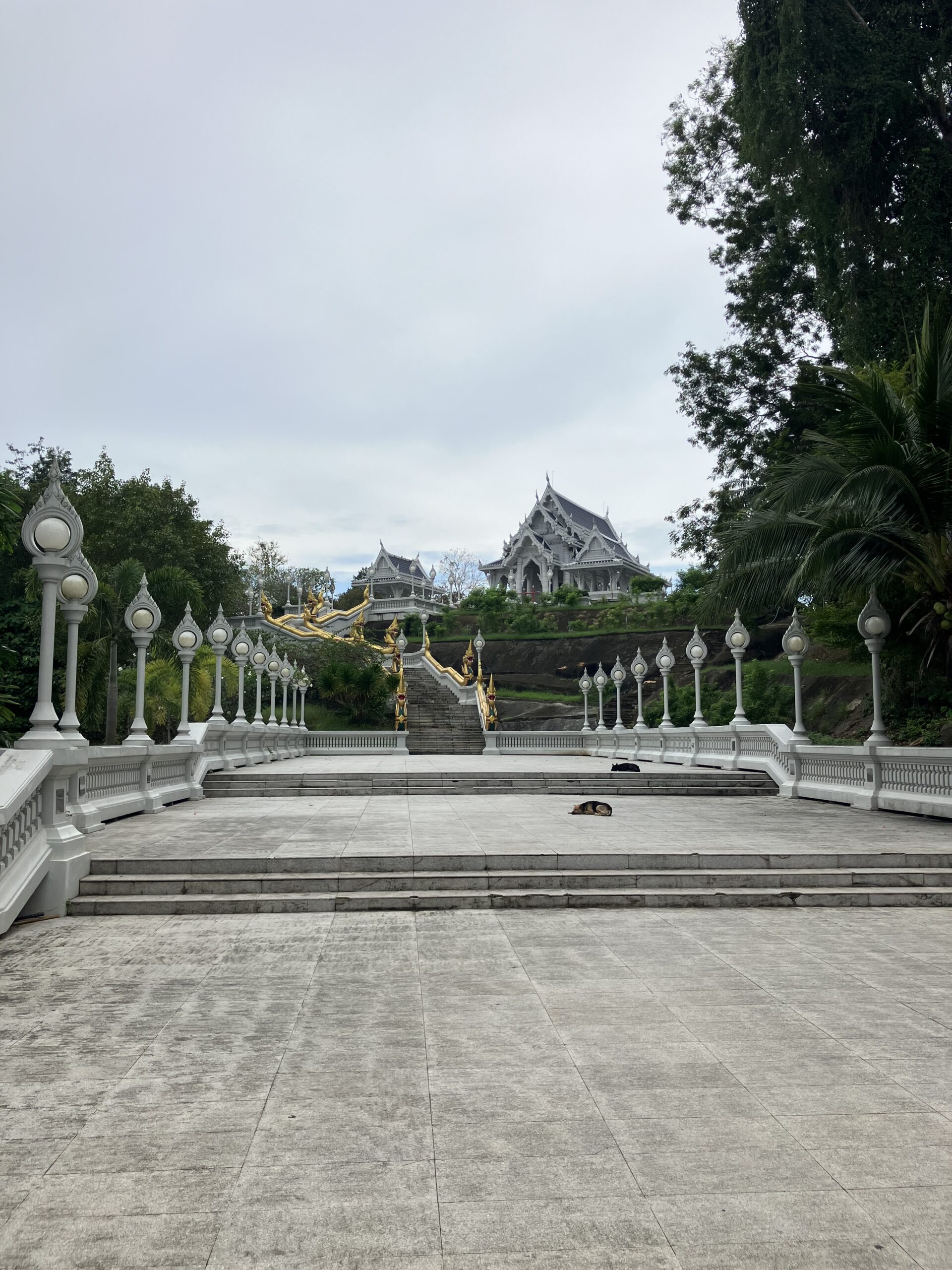 クラビタウン(Krabi Town)のワット サッ ケーオ コー ワラーラームの参道