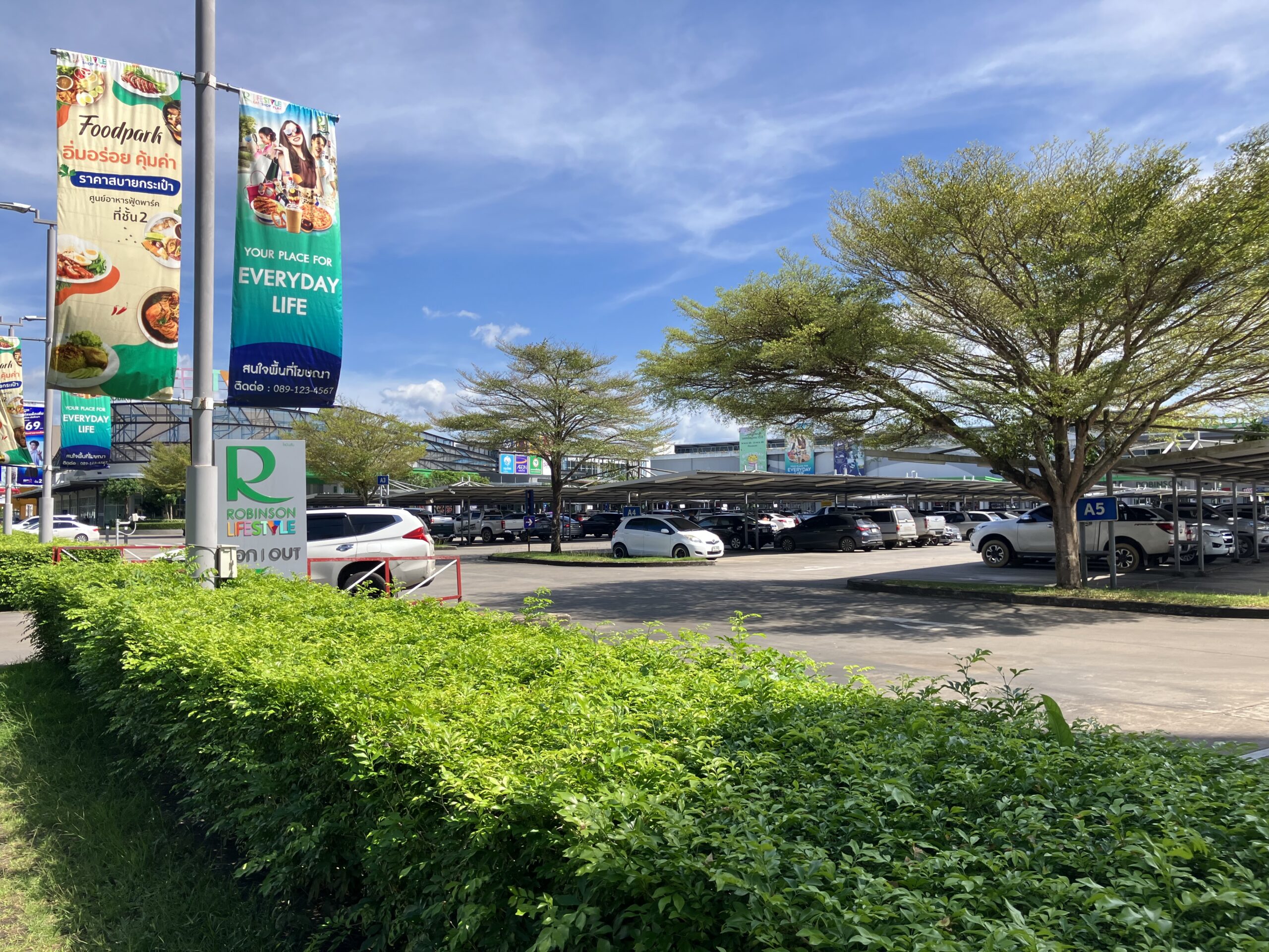 トラン(Trang)のロビンソン